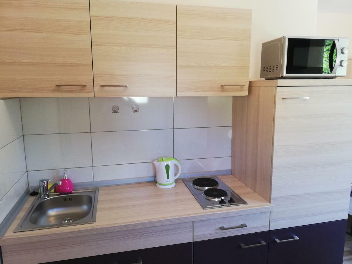 Studio Apartment Palmira Ližnjan Exteriör bild